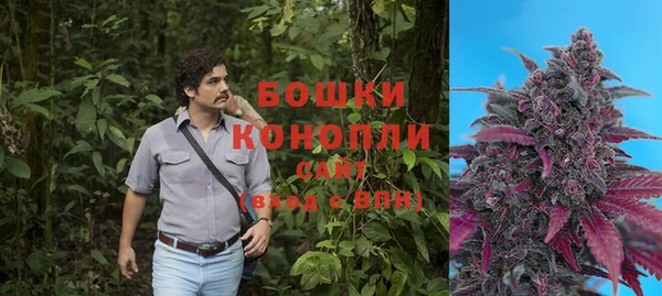 ПСИЛОЦИБИНОВЫЕ ГРИБЫ Алзамай