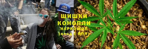ПСИЛОЦИБИНОВЫЕ ГРИБЫ Алзамай