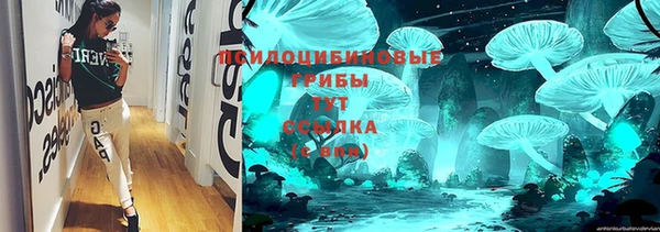 ПСИЛОЦИБИНОВЫЕ ГРИБЫ Алзамай