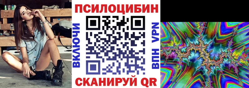 что такое   Павловская  Псилоцибиновые грибы Psilocybe 